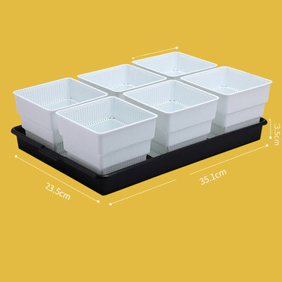Maceta Controladora de Raíces para Suculentas y Plantas - Image 11