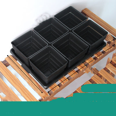 Maceta Controladora de Raíces para Suculentas y Plantas - Image 12