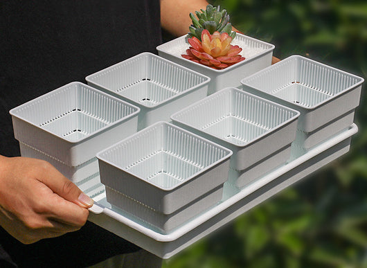 Maceta Controladora de Raíces para Suculentas y Plantas