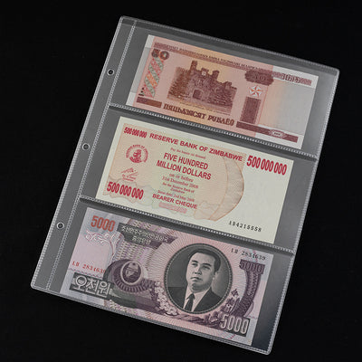 Álbum de Hojas Sueltas para Monedas y Estampillas - Image 4