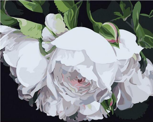 Kit de Pintura por Números - Flores Blancas