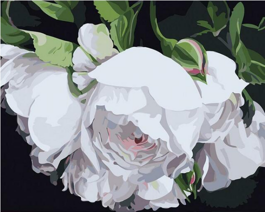 Kit de Pintura por Números - Flores Blancas