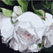 Kit de Pintura por Números - Flores Blancas