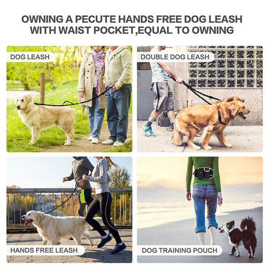 Correa para Perro con Cinturón Manos Libres - Bolsa de Almacenamiento para Paseos y Running - Image 2