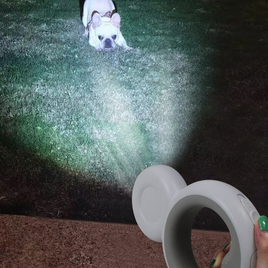 Correa Automática para Mascotas con Linterna y Dispensador de Bolsas - Image 9