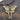 AliExpress EBay Explosive Moth Necklace Insect Butterfly