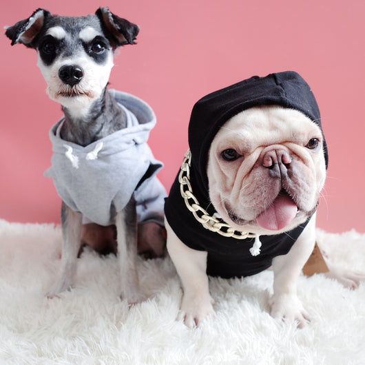 Chaleco Veraniego con Capucha para Perros y Gatos - Camiseta Estampada Fadou