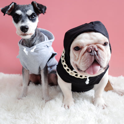 Chaleco Veraniego con Capucha para Perros y Gatos - Camiseta Estampada Fadou - Image 6