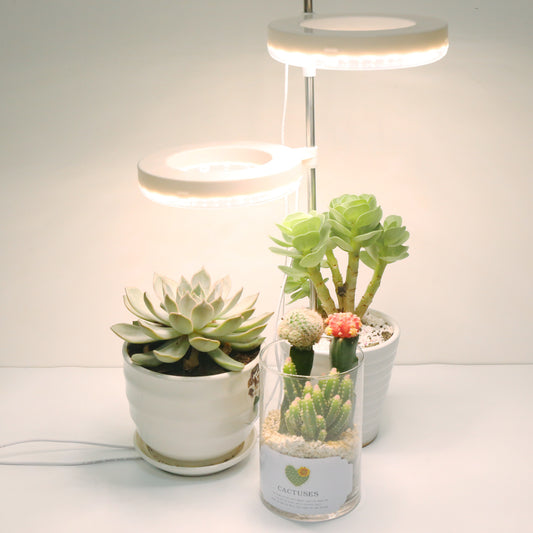 Lámpara de Crecimiento LED para Plantas de Escritorio