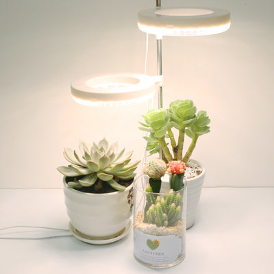 Lámpara de Crecimiento LED para Plantas de Escritorio