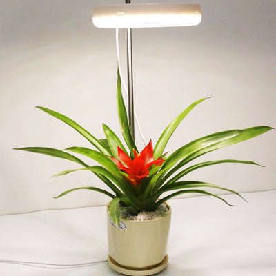 Lámpara de Crecimiento LED para Plantas de Escritorio - Image 6
