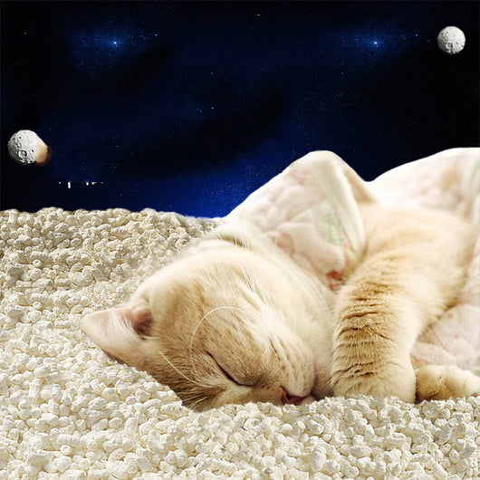 Close-up of a pile of light-colored, irregularly shaped tofu cat litter pellets in a wooden bowl. - Image 8
