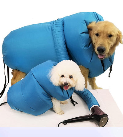 Secador de Perros Profesional con Kit Completo para Todas las Razas - Image 8