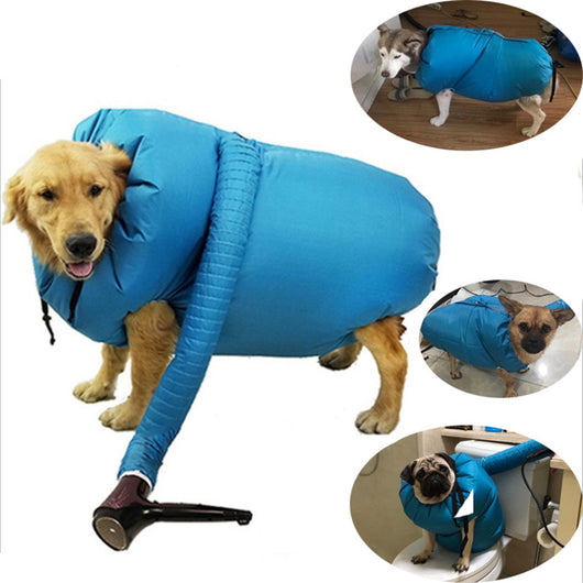 Secador de Perros Profesional con Kit Completo para Todas las Razas