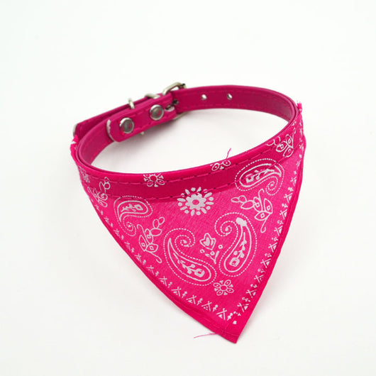 Pañuelo Triangular Colorido Absorbente para Perros - Image 12