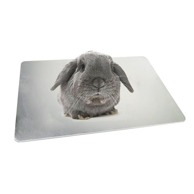 Placa Refrigerante de Aluminio para Mascotas - Conejo y Conejillo de Indias - Image 7