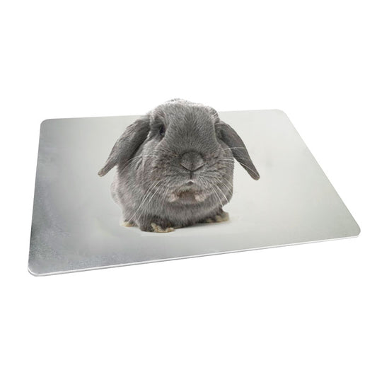 Placa Refrigerante de Aluminio para Mascotas - Conejo y Conejillo de Indias