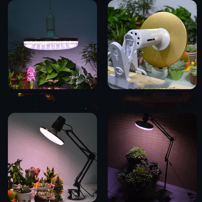 Luz de Espectro Completo para Cultivo de Plantas - Image 14