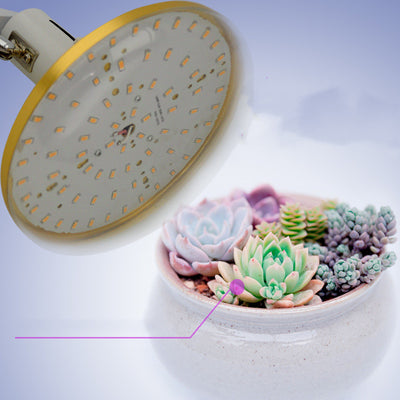 Luz de Espectro Completo para Cultivo de Plantas - Image 9