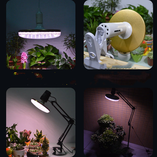 Luz de Espectro Completo para Cultivo de Plantas - Image 2