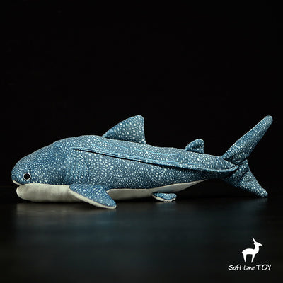 Peluche Tiburón Ballena Gigante - Image 5