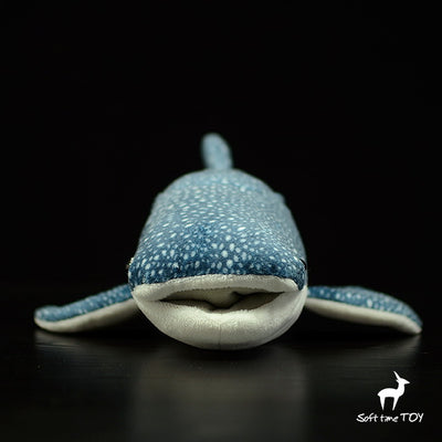 Peluche Tiburón Ballena Gigante - Image 3