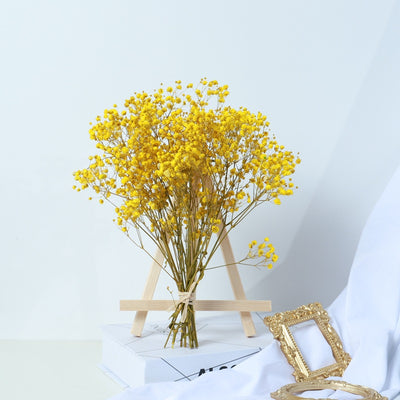 Ramo de Flores Secas Gipsófila - Decoración Natural para el Hogar - Image 13