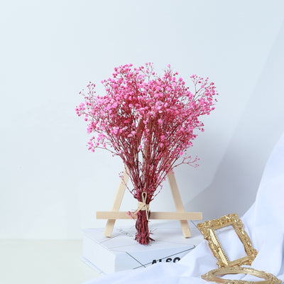 Ramo de Flores Secas Gipsófila - Decoración Natural para el Hogar - Image 5