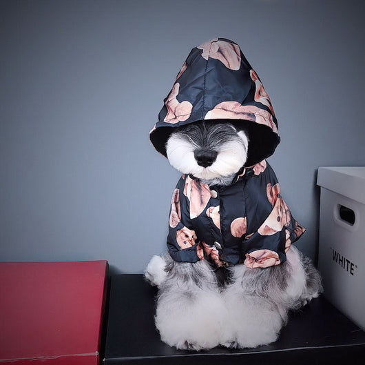 Impermeable para Perros Cachorros - Abrigo Otoño Invierno - Image 10