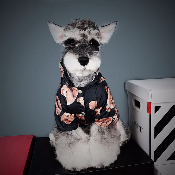 Impermeable para Perros Cachorros - Abrigo Otoño Invierno