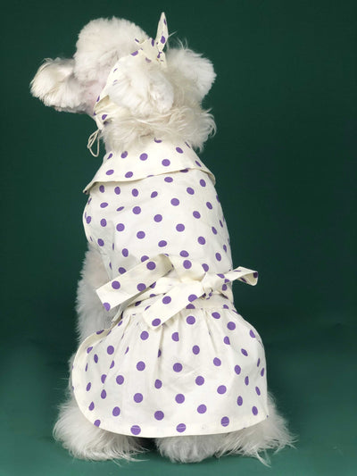 Vestido Princesa Verano para Perros Pequeños - Ropa Fresca para Mascotas - Image 11