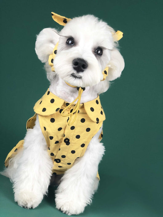 Vestido Princesa Verano para Perros Pequeños - Ropa Fresca para Mascotas - Image 9