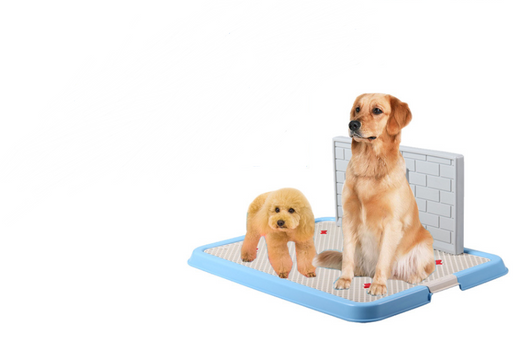 Inodoro Portátil para Cachorros y Perros Pequeños - Image 4