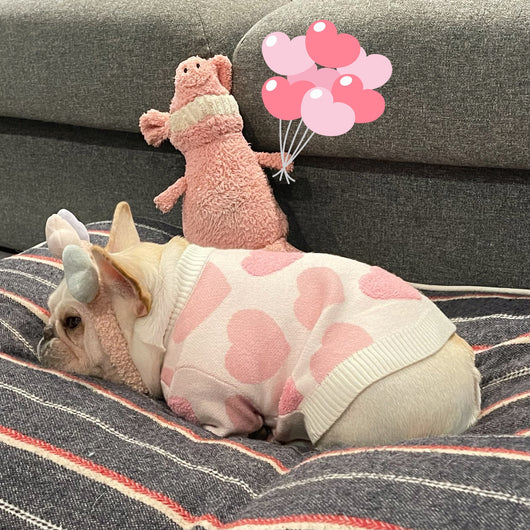 Suéter Abrigador para Perros y Gatos - Diseño Tierno para Invierno - Image 6