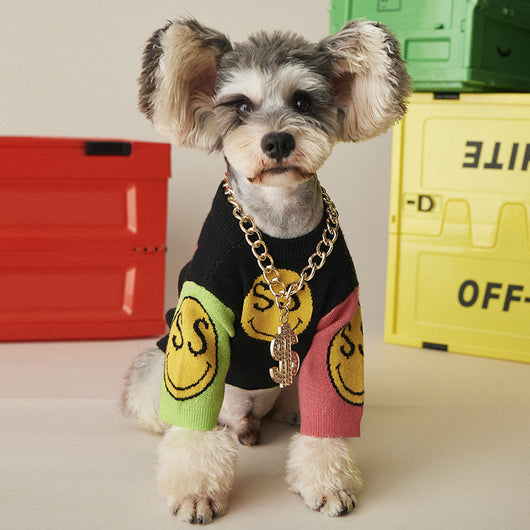 Suéter Cálido para Perros Pequeños - Ropa de Invierno para Teddy, Schnauzer, Pomerania y Gatos - Image 3