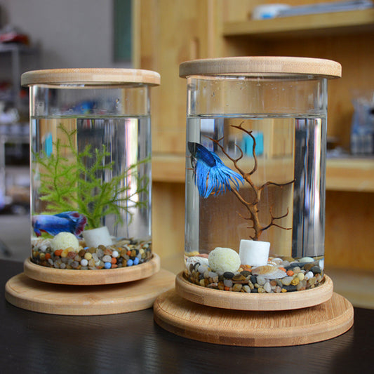 Acuario Pequeño de Cristal con Base de Bambú - Pecera Decorativa Minimalista