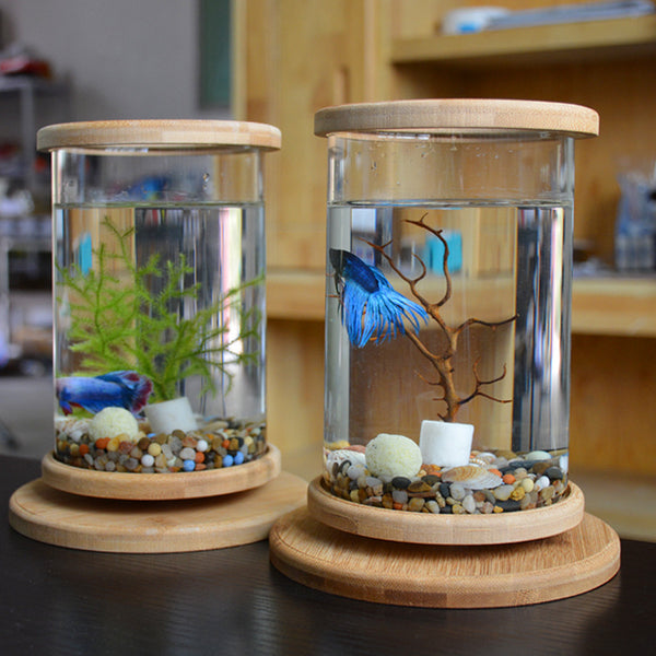 Acuario Pequeño de Cristal con Base de Bambú - Pecera Decorativa Minimalista