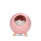 Gato Rosa Blanco Otro W USB