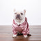 Suéter Hoodie de Terciopelo Denso para Perros Pequeños - Ropa de Invierno Casual