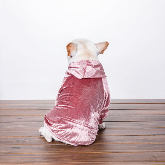 Suéter Hoodie de Terciopelo Denso para Perros Pequeños - Ropa de Invierno Casual - Image 5