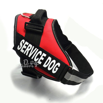 Colección Completa para Perros - Image 2