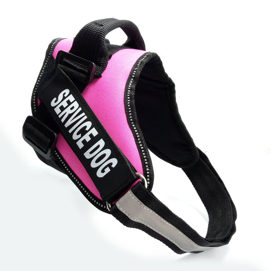 Colección Completa para Perros - Image 12