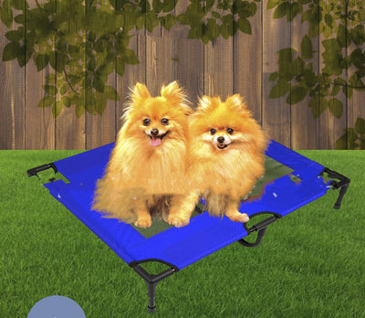 Cama Portátil Plegable para Mascotas y Camping - Image 7