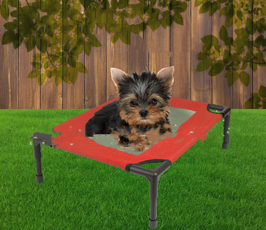 Cama Portátil Plegable para Mascotas y Camping - Image 4
