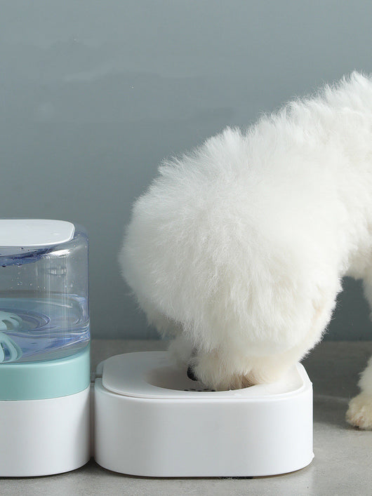 Dispensador Automático de Agua para Gatos y Perros sin Enchufre - Image 11