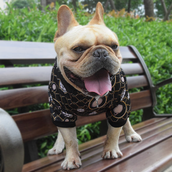 Ropa Estampada Elástica para Perros Pequeños - Colección Primavera Otoño