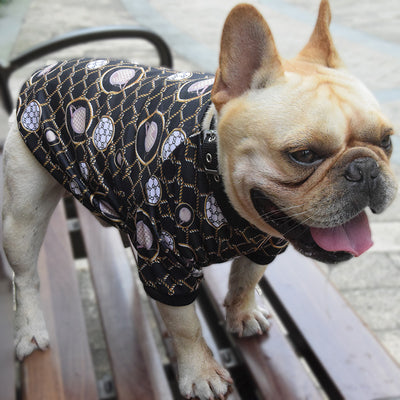 Ropa Estampada Elástica para Perros Pequeños - Colección Primavera Otoño - Image 5