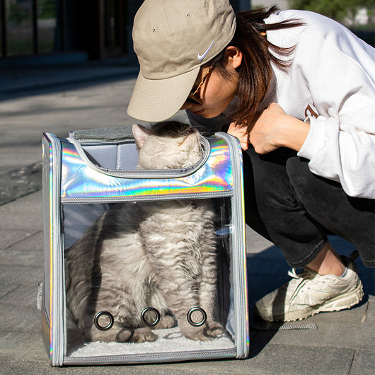 Mochila Transparente para Perros con Espacio Amplio y Diseño Láser - Image 7