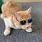 Gafas de Sol Miniatura para Mascotas - Diseño Fashion Creativo