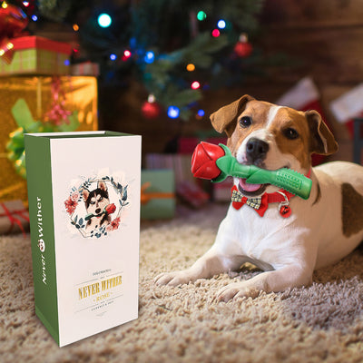 Juguete para Perro Rosa Stick en Caja de Regalo - Image 9